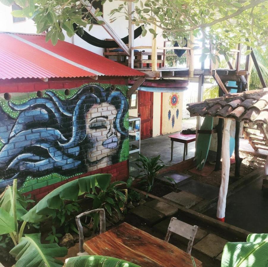Hostel Monkey House