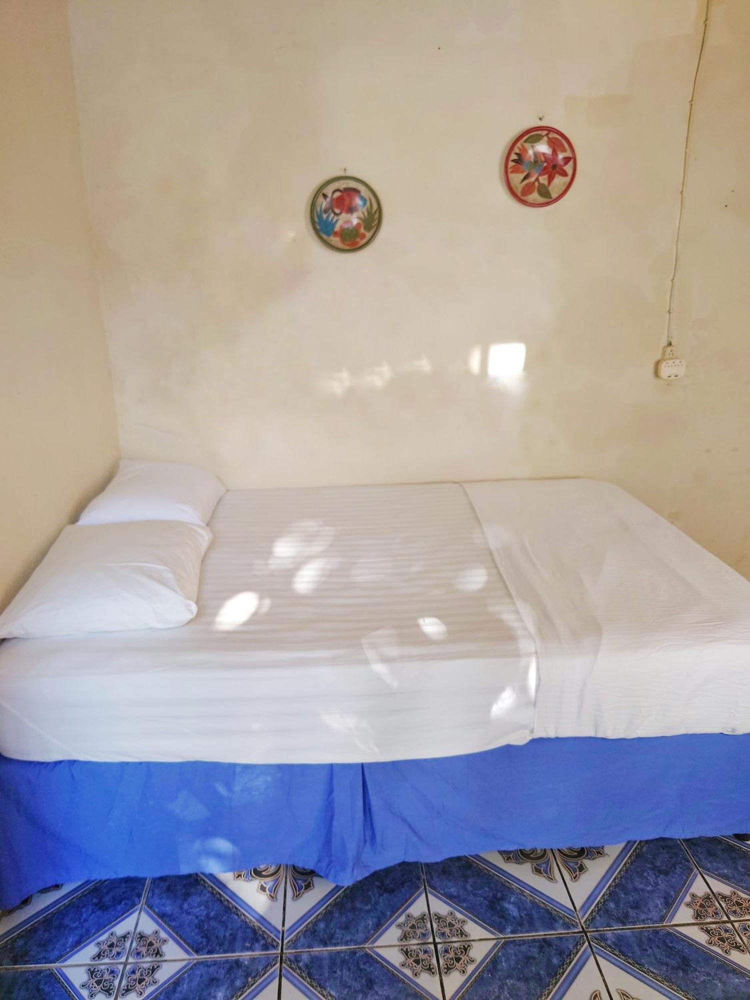 Hostel Monkey House
