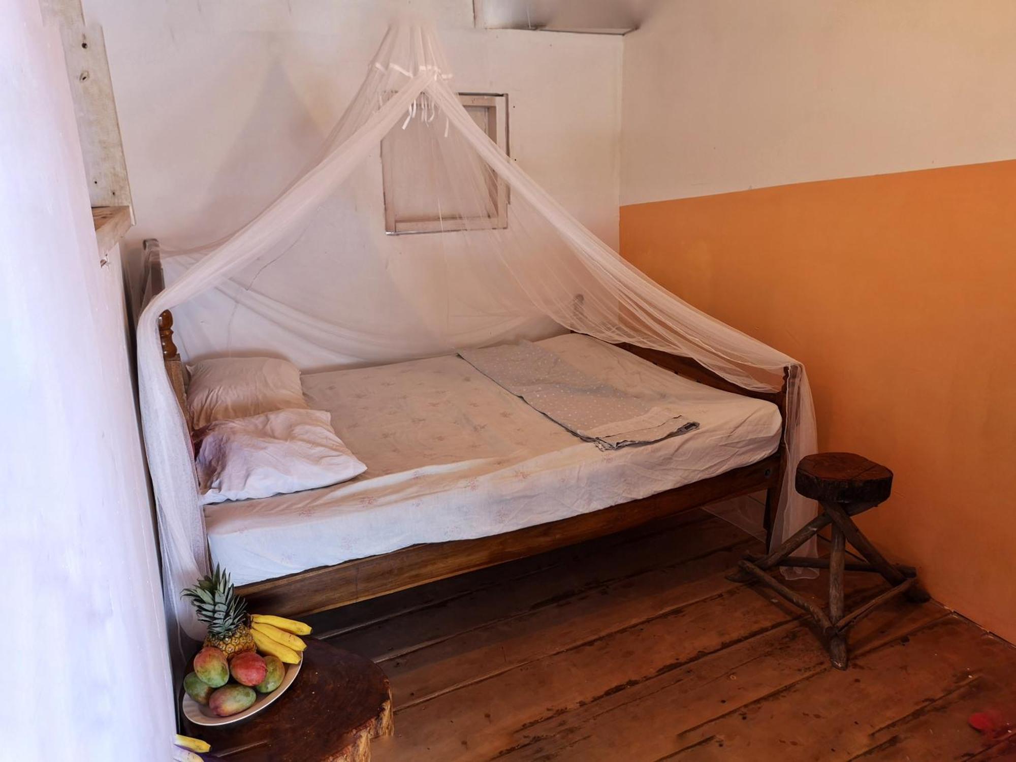 Monkey House Hostel Tola