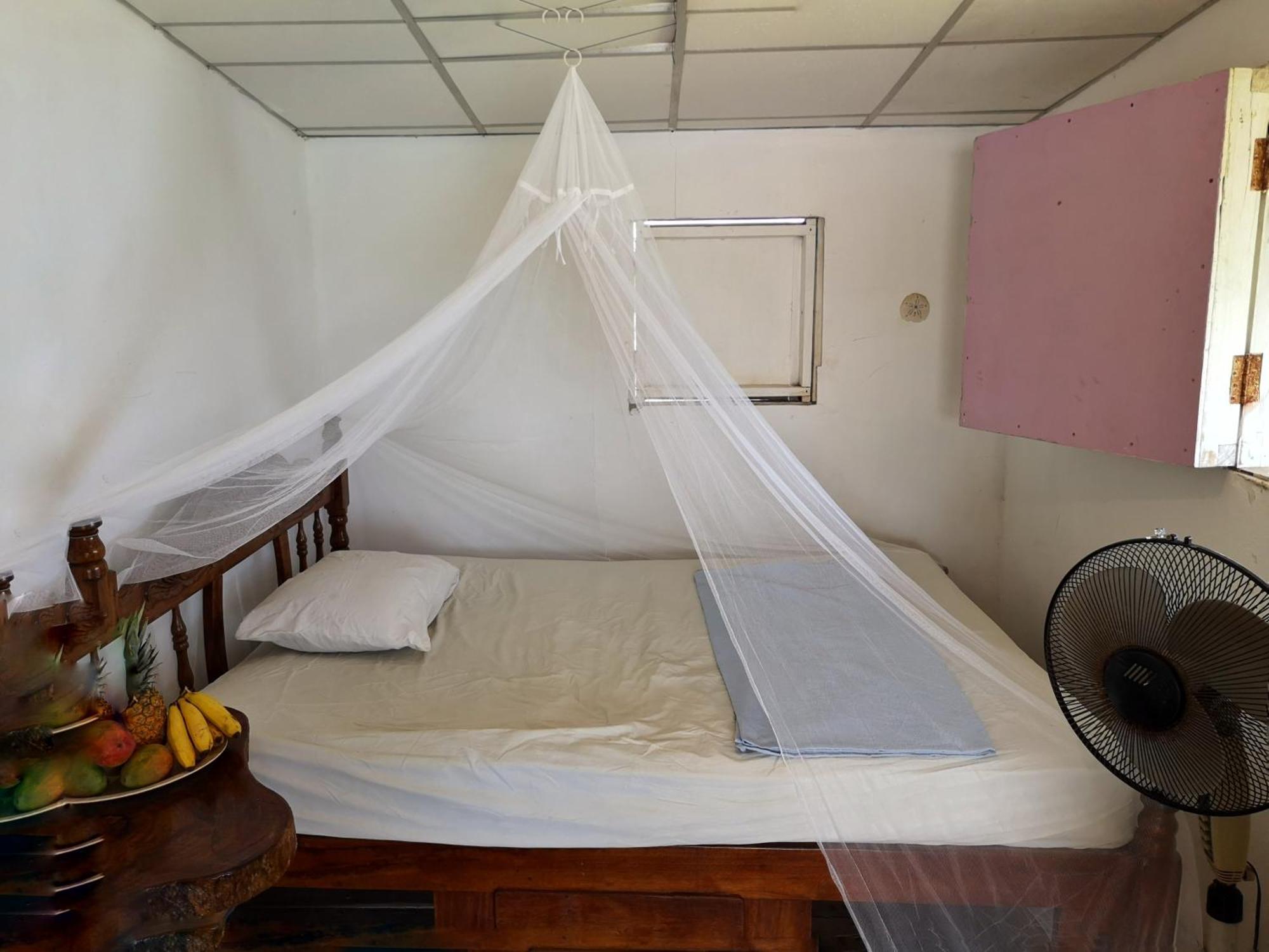 Monkey House Hostel