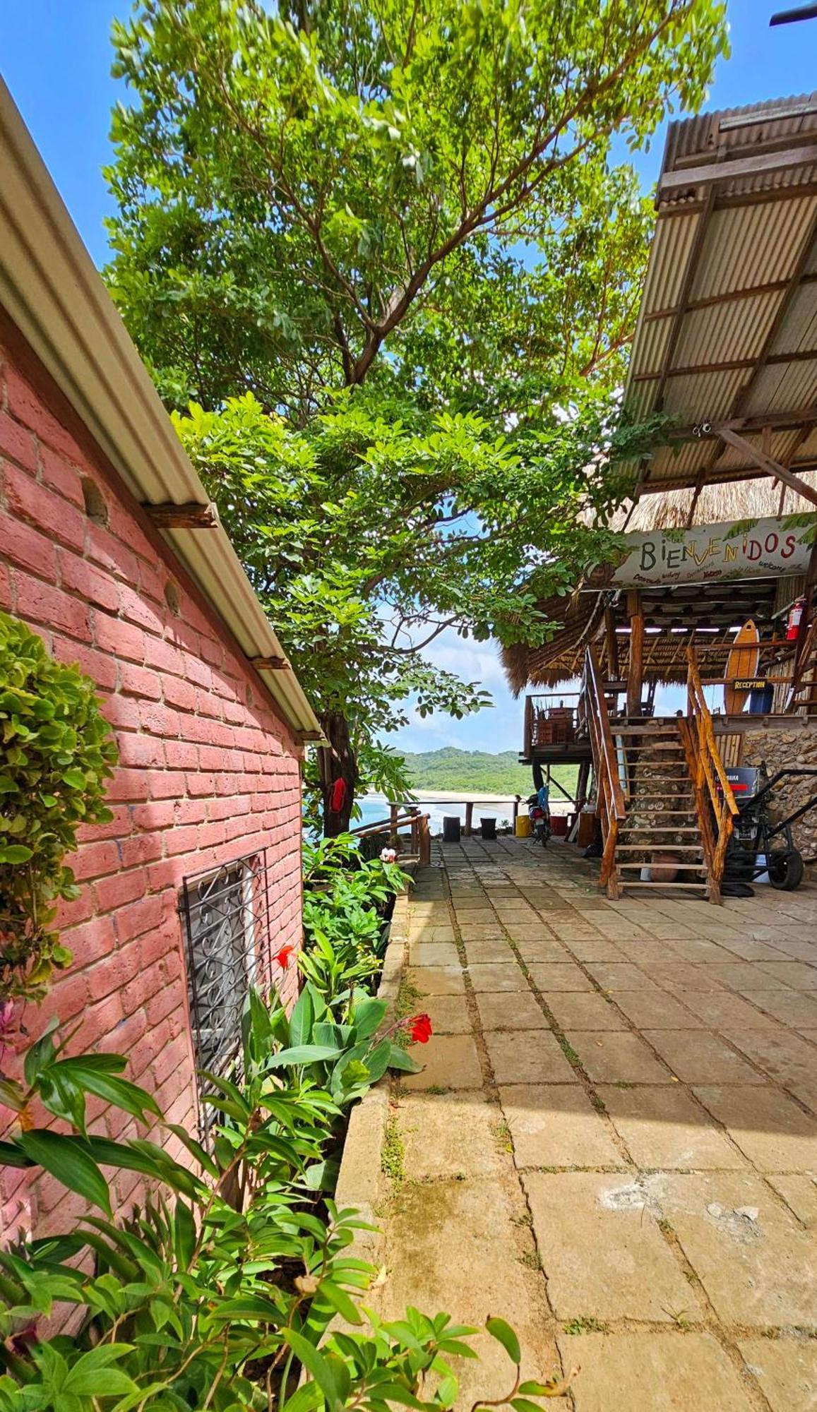 Monkey House Hostel