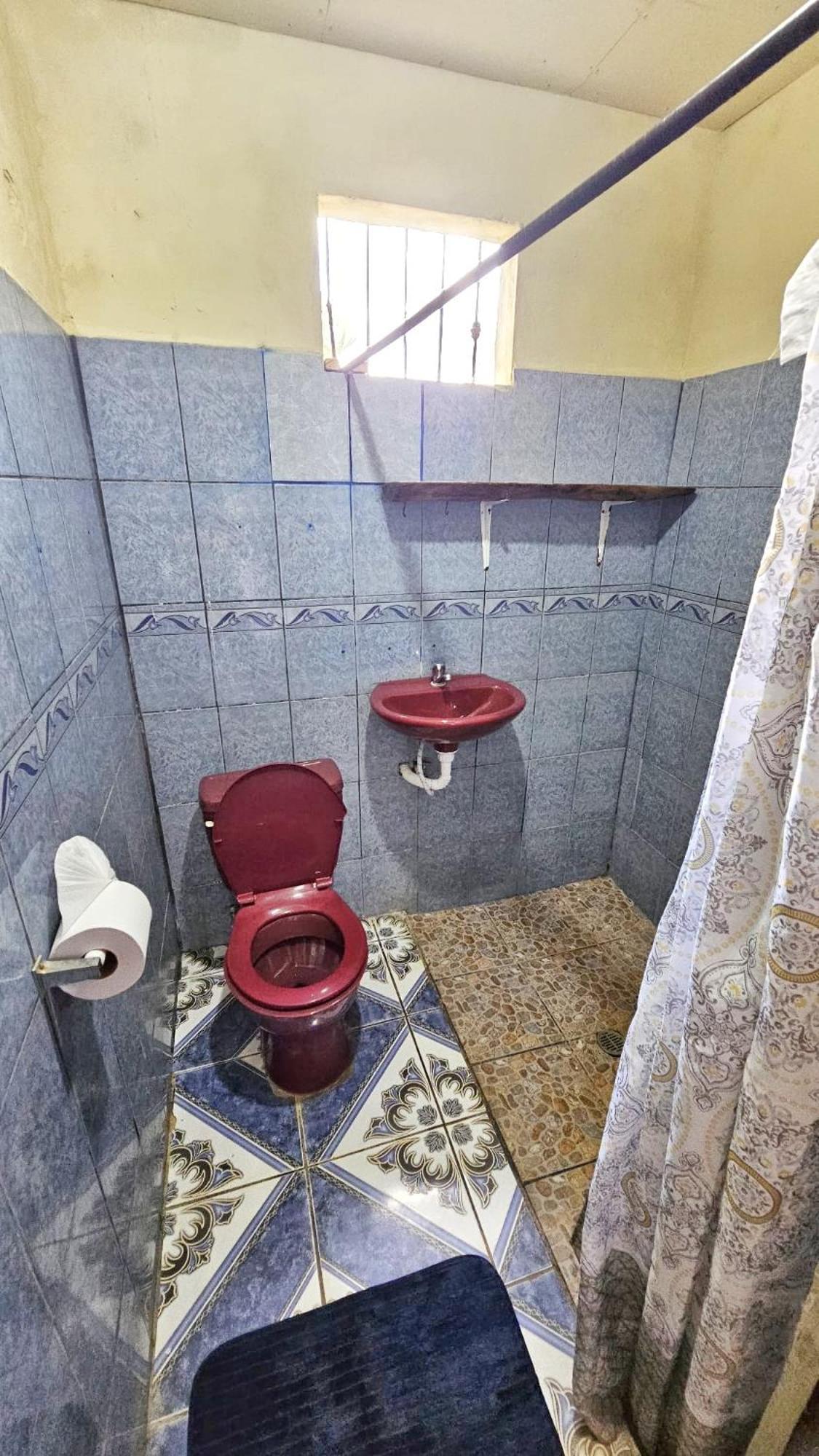 Hostel Monkey House *