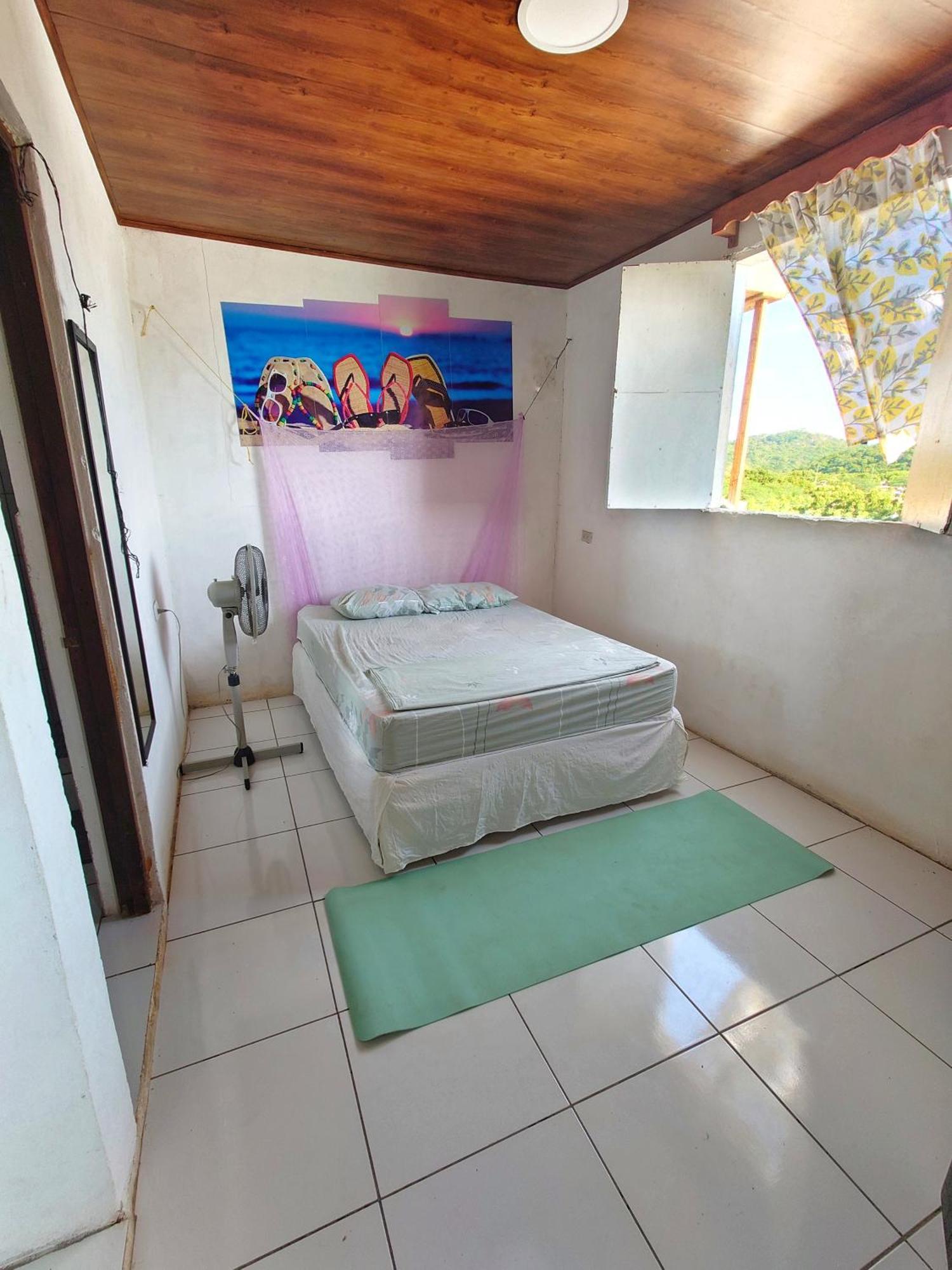 Monkey House Hostel Tola